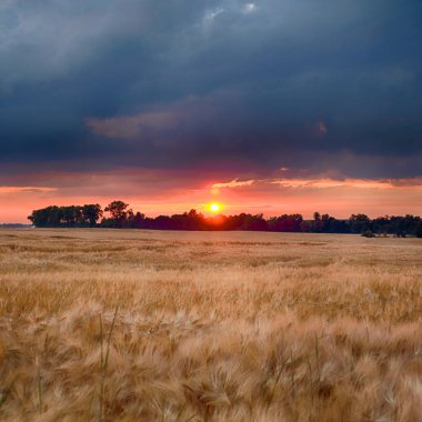 Wroclaw yakınlarındaki Biskupice Podgorne, baharın son gününde, alanlar üzerinde güzel günbatımı ve fırtına bulutları, Polonya.