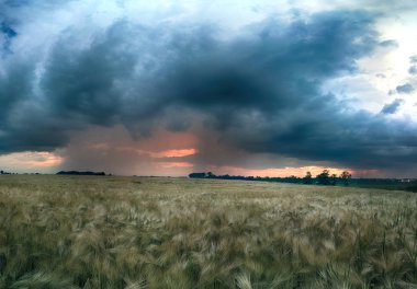 Wroclaw yakınlarındaki Biskupice Podgorne, baharın son gününde, alanlar üzerinde güzel günbatımı ve fırtına bulutları, Polonya.