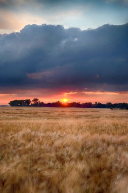 Wroclaw yakınlarındaki Biskupice Podgorne, baharın son gününde, alanlar üzerinde güzel günbatımı ve fırtına bulutları, Polonya.