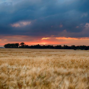 Wroclaw yakınlarındaki Biskupice Podgorne, baharın son gününde, alanlar üzerinde güzel günbatımı ve fırtına bulutları, Polonya.