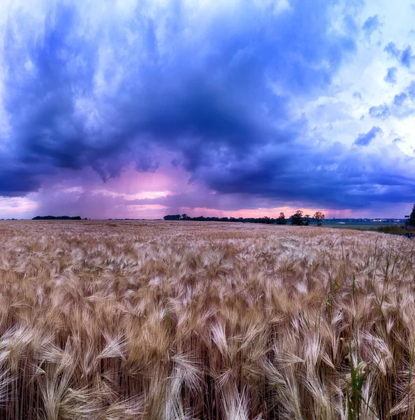 Splendido Tramonto Nuvole Temporalesche Sui Campi Ultimo Giorno Primavera Biskupice — Foto Stock