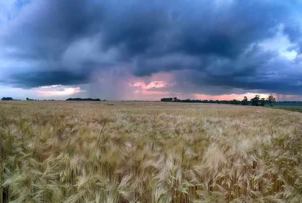 Splendido Tramonto Nuvole Temporalesche Sui Campi Ultimo Giorno Primavera Biskupice — Foto Stock