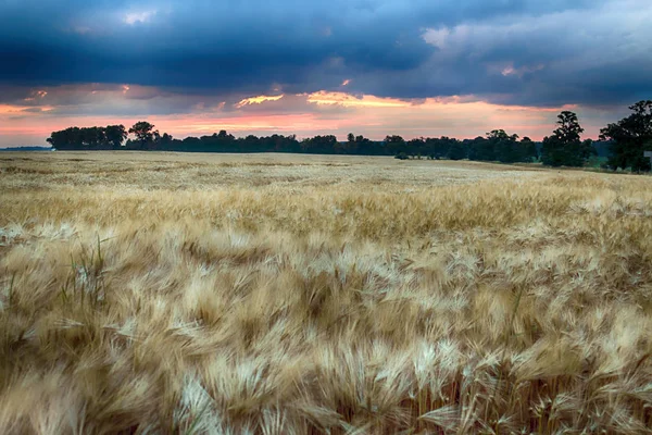 Splendido Tramonto Nuvole Temporalesche Sui Campi Ultimo Giorno Primavera Biskupice — Foto Stock