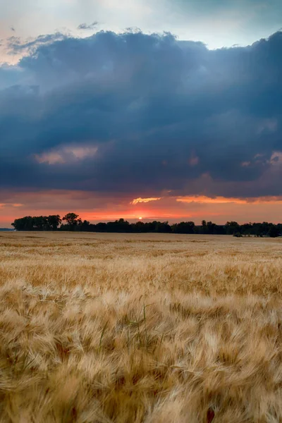 Piękne Zachody Słońca Burza Chmur Nad Polami Ostatnim Dniu Wiosny — Zdjęcie stockowe