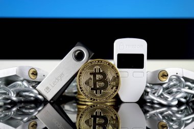 Wroclaw, Polonya - 06 Temmuz 2019: Bitcoin (Btc), Trezor ve Ledger (cryptocurrency donanım cüzdanları), asma kilitler, zincir (Blockchain Teknolojisi gibi) ve Estonya Bayrağının fiziksel sürümü.