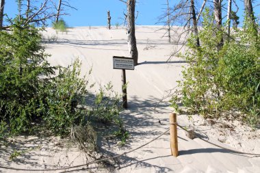Leba, Polonya - 25 Temmuz 2019: Slowinski Milli Parkı Baltık Denizi kıyısında, Polonya'nın Leba kenti yakınlarında yer almaktadır. Avrupa'nın en büyük hareketli kum tepeleri ile çöl manzara. Berrak gökyüzü ile sıcak bir gün.