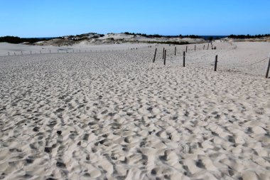Leba, Polonya - 25 Temmuz 2019: Slowinski Milli Parkı Baltık Denizi kıyısında, Polonya'nın Leba kenti yakınlarında yer almaktadır. Avrupa'nın en büyük hareketli kum tepeleri ile çöl manzara. Berrak gökyüzü ile sıcak bir gün.