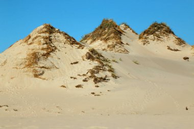 Leba, Polonya - 25 Temmuz 2019: Slowinski Milli Parkı Baltık Denizi kıyısında, Polonya'nın Leba kenti yakınlarında yer almaktadır. Avrupa'nın en büyük hareketli kum tepeleri ile çöl manzara. Berrak gökyüzü ile sıcak bir gün.