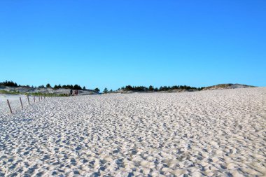 Leba, Polonya - 25 Temmuz 2019: Slowinski Milli Parkı Baltık Denizi kıyısında, Polonya'nın Leba kenti yakınlarında yer almaktadır. Avrupa'nın en büyük hareketli kum tepeleri ile çöl manzara. Berrak gökyüzü ile sıcak bir gün.