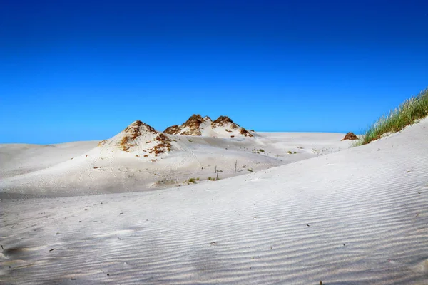 Parc National Slowinski Est Situé Sur Côte Mer Baltique Près — Photo