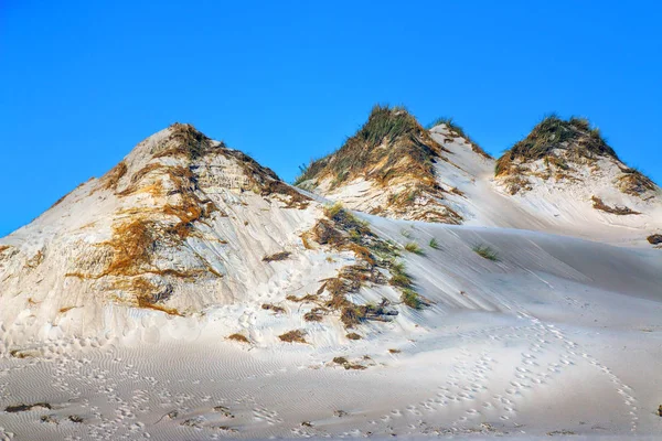 斯洛宾斯基国家公园位于波罗的海沿岸 靠近波兰莱巴 沙漠景观 拥有欧洲最大的移动沙丘 炎热的夏日 天空晴朗 在夏中 — 图库照片