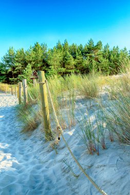 Slowinski Milli Parkı, Baltık Denizi kıyısında, Polonya'nın Leba kenti yakınlarında yer almaktadır. Avrupa'nın en büyük hareketli kum tepeleri ile çöl manzara. Açık gökyüzü ile sıcak yaz günü, yaz ortasında.