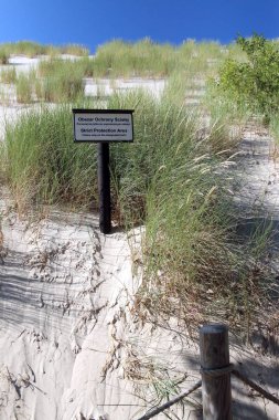 Leba, Polonya - 25 Temmuz 2019: Slowinski Milli Parkı Baltık Denizi kıyısında, Polonya'nın Leba kenti yakınlarında yer almaktadır. Avrupa'nın en büyük hareketli kum tepeleri ile çöl manzara. Berrak gökyüzü ile sıcak bir gün.