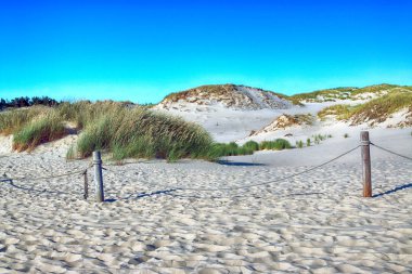 Slowinski Milli Parkı, Baltık Denizi kıyısında, Polonya'nın Leba kenti yakınlarında yer almaktadır. Avrupa'nın en büyük hareketli kum tepeleri ile çöl manzara. Açık gökyüzü ile sıcak yaz günü, yaz ortasında.