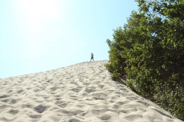 Leba, Polonya - 25 Temmuz 2019: Slowinski Milli Parkı Baltık Denizi kıyısında, Polonya'nın Leba kenti yakınlarında yer almaktadır. Avrupa'nın en büyük hareketli kum tepeleri ile çöl manzara. Berrak gökyüzü ile sıcak bir gün.