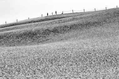 Leba, Polonya - 25 Temmuz 2019: Slowinski Milli Parkı Baltık Denizi kıyısında, Polonya'nın Leba kenti yakınlarında yer almaktadır. Avrupa'nın en büyük hareketli kum tepeleri ile çöl manzara. Berrak gökyüzü ile sıcak bir gün.