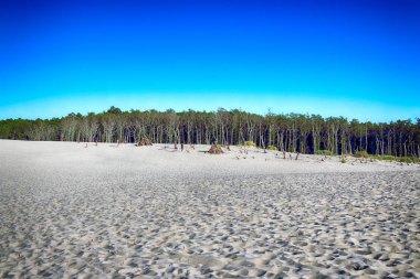 Leba, Polonya - 25 Temmuz 2019: Slowinski Milli Parkı Baltık Denizi kıyısında, Polonya'nın Leba kenti yakınlarında yer almaktadır. Avrupa'nın en büyük hareketli kum tepeleri ile çöl manzara. Berrak gökyüzü ile sıcak bir gün.