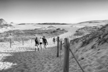 Leba, Polonya - 25 Temmuz 2019: Slowinski Milli Parkı Baltık Denizi kıyısında, Polonya'nın Leba kenti yakınlarında yer almaktadır. Avrupa'nın en büyük hareketli kum tepeleri ile çöl manzara. Berrak gökyüzü ile sıcak bir gün.