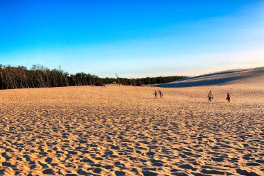 Leba, Polonya - 25 Temmuz 2019: Slowinski Milli Parkı Baltık Denizi kıyısında, Polonya'nın Leba kenti yakınlarında yer almaktadır. Avrupa'nın en büyük hareketli kum tepeleri ile çöl manzara. Berrak gökyüzü ile sıcak bir gün.