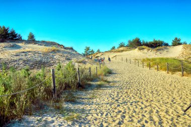 Leba, Polonya - 25 Temmuz 2019: Slowinski Milli Parkı Baltık Denizi kıyısında, Polonya'nın Leba kenti yakınlarında yer almaktadır. Avrupa'nın en büyük hareketli kum tepeleri ile çöl manzara. Berrak gökyüzü ile sıcak bir gün.
