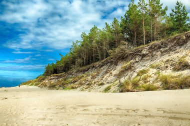 Baltık Denizi kıyısında Slowinski Milli Parkı, Leba yakın, Polonya. Leba ve Hareketli Tepeler arasındaki yürüyüş parkurunda güzel kumlu plajlar ve sahil manzarası.