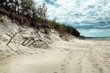 Baltık Denizi kıyısında Slowinski Milli Parkı, Leba yakın, Polonya. Leba ve Hareketli Tepeler arasındaki yürüyüş parkurunda güzel kumlu plajlar ve sahil manzarası.