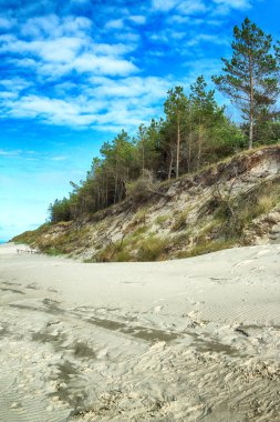 Baltık Denizi kıyısında Slowinski Milli Parkı, Leba yakın, Polonya. Leba ve Hareketli Tepeler arasındaki yürüyüş parkurunda güzel kumlu plajlar ve sahil manzarası.