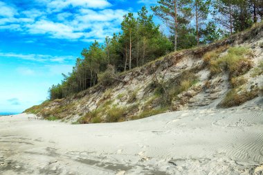 Baltık Denizi kıyısında Slowinski Milli Parkı, Leba yakın, Polonya. Leba ve Hareketli Tepeler arasındaki yürüyüş parkurunda güzel kumlu plajlar ve sahil manzarası.