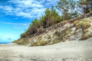 Baltık Denizi kıyısında Slowinski Milli Parkı, Leba yakın, Polonya. Leba ve Hareketli Tepeler arasındaki yürüyüş parkurunda güzel kumlu plajlar ve sahil manzarası.