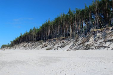 Baltık Denizi kıyısında Slowinski Milli Parkı, Leba yakın, Polonya. Leba ve Hareketli Tepeler arasındaki yürüyüş parkurunda güzel kumlu plajlar ve sahil manzarası.