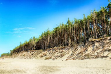 Baltık Denizi kıyısında Slowinski Milli Parkı, Leba yakın, Polonya. Leba ve Hareketli Tepeler arasındaki yürüyüş parkurunda güzel kumlu plajlar ve sahil manzarası.