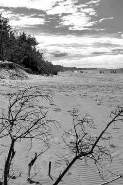 Baltık Denizi kıyısında Slowinski Milli Parkı, Leba yakın, Polonya. Leba ve Hareketli Tepeler arasındaki yürüyüş parkurunda güzel kumlu plajlar ve sahil manzarası.