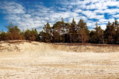 Baltık Denizi kıyısında Slowinski Milli Parkı, Leba yakın, Polonya. Leba ve Hareketli Tepeler arasındaki yürüyüş parkurunda güzel kumlu plajlar ve sahil manzarası.