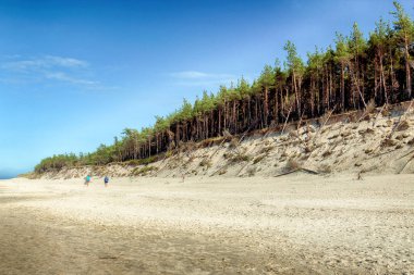 Leba, Polonya - 24 Temmuz 2019: Baltık Denizi kıyısında, Polonya'nın Leba kenti yakınlarındaki Slowinski Ulusal Parkı. Leba ve Hareketli Tepeler arasındaki yürüyüş parkurunda güzel kumlu plajlar ve sahil manzarası.