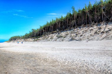 Leba, Polonya - 24 Temmuz 2019: Baltık Denizi kıyısında, Polonya'nın Leba kenti yakınlarındaki Slowinski Ulusal Parkı. Leba ve Hareketli Tepeler arasındaki yürüyüş parkurunda güzel kumlu plajlar ve sahil manzarası.