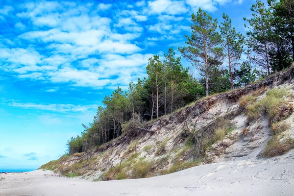 Národní Park Slowinski Pobřeží Baltského Moře Nedaleko Leba Polsku Nádherné — Stock fotografie