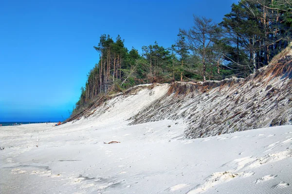 斯洛宾斯基国家公园位于波罗的海沿岸 靠近波兰莱巴 美丽的沙滩和沿海景观在莱巴和移动沙丘之间的步行道 — 图库照片