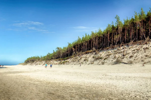 Leba, Polonya - 24 Temmuz 2019: Baltık Denizi kıyısında, Polonya'nın Leba kenti yakınlarındaki Slowinski Ulusal Parkı. Leba ve Hareketli Tepeler arasındaki yürüyüş parkurunda güzel kumlu plajlar ve sahil manzarası.