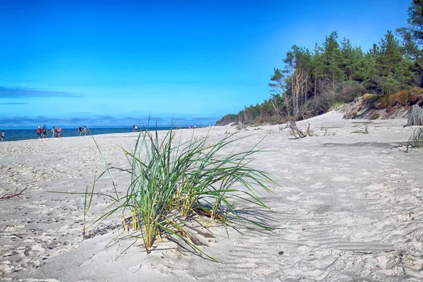 Leba Poland July 2019 Slowinski National Park Baltic Sea Coast — Stock Photo, Image