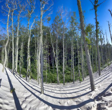 Slowinski Milli Parkı Baltık Denizi kıyısında yer almaktadır, nea