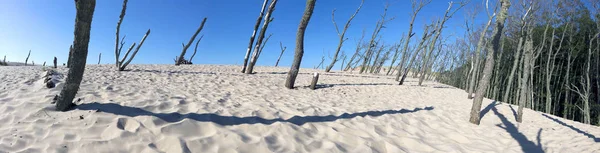 Parque Nacional Slowinski Está Situado Costa Mar Báltico Perto Leba — Fotografia de Stock