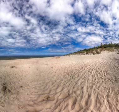 Leba, Polonya - 25 Temmuz 2019: Slowinski Milli Parkı Baltık Denizi kıyısında, Polonya'nın Leba kenti yakınlarında yer almaktadır. Avrupa'nın en büyük hareketli kum tepeleri ile çöl manzara. Berrak gökyüzü ile sıcak bir gün.