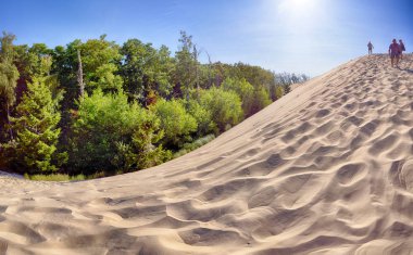 Leba, Polonya - 25 Temmuz 2019: Slowinski Milli Parkı Baltık Denizi kıyısında, Polonya'nın Leba kenti yakınlarında yer almaktadır. Avrupa'nın en büyük hareketli kum tepeleri ile çöl manzara. Berrak gökyüzü ile sıcak bir gün.