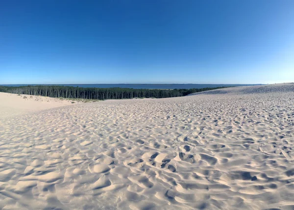 Slowinski National Park Ligger Vid Östersjökusten Nära Leba Polen Öken — Stockfoto
