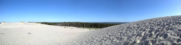 ポーランド 2019年7月25日 スロインスキー国立公園は ポーランドのレバ近くのバルト海沿岸に位置しています ヨーロッパ最大の移動砂丘を持つ砂漠の風景 晴天の暑い日 — ストック写真