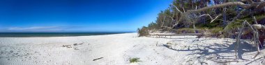 Baltık Denizi kıyısında Slowinski Milli Parkı, Leba yakın, Polonya. Leba ve Hareketli Tepeler arasındaki yürüyüş parkurunda güzel kumsal, kumörtüsü ve kıyı manzarası.