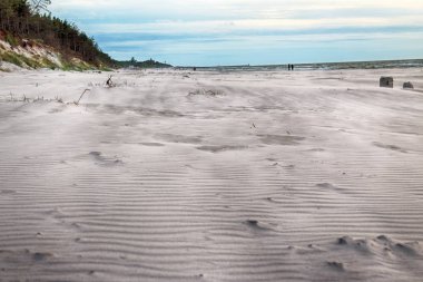 Baltık Denizi kıyısında Slowinski Milli Parkı, Leba yakın, Polonya. Leba ve Hareketli Tepeler arasındaki yürüyüş parkurunda güzel kumsal, kumörtüsü ve kıyı manzarası.