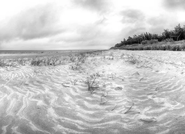 Parc National Slowinski Sur Côte Mer Baltique Près Leba Pologne — Photo