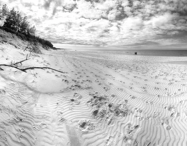 バルト海沿岸のスロインスキー国立公園 ポーランドの近く レバと移動砂丘の間のウォーキングトレイル上の美しい砂浜 砂丘の植生と海岸の風景 — ストック写真