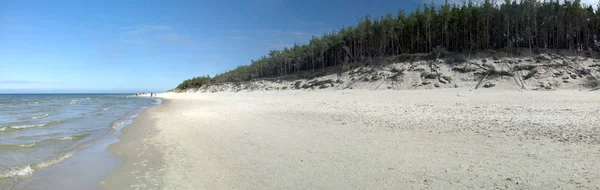 Slowinski National Park Östersjökusten Nära Leba Polen Vacker Sandstrand Dyn — Stockfoto